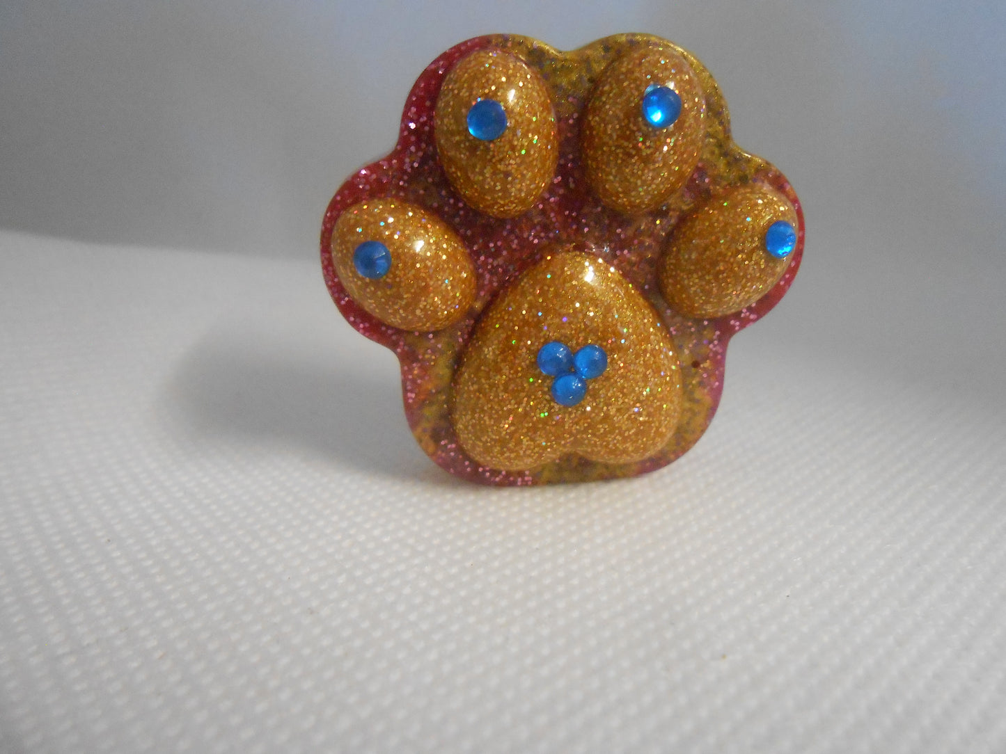 Paw coverminder/fridge magnet